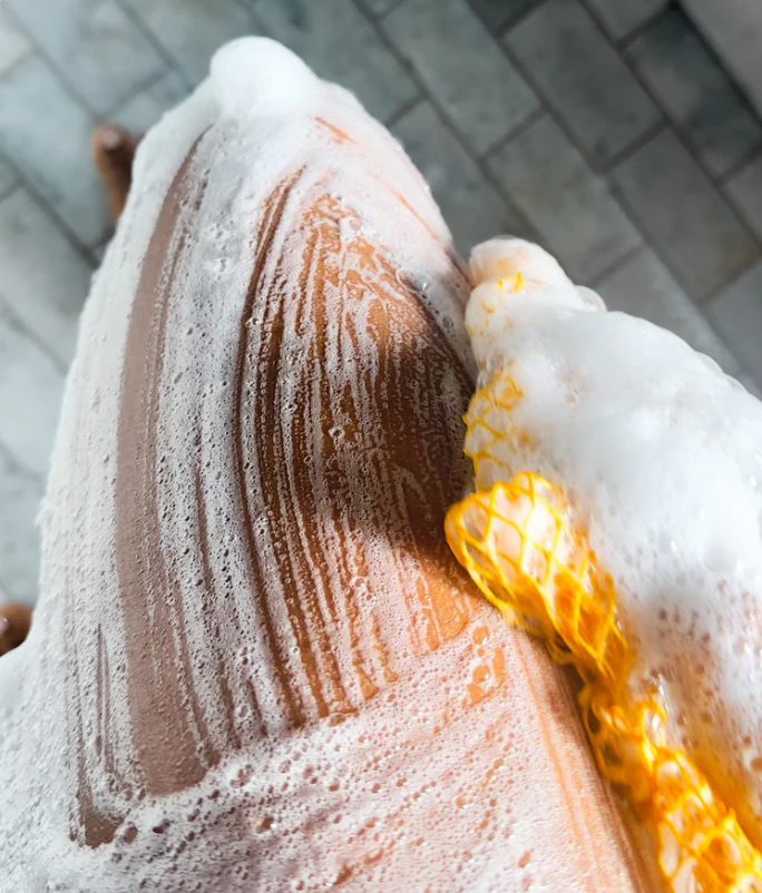 African Exfoliating Net Sponge